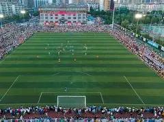 以色列释囚,计划突变,特朗普立场,世界杯直播,2026世界杯,赛事直播平台,在线观看,最新赛事信息